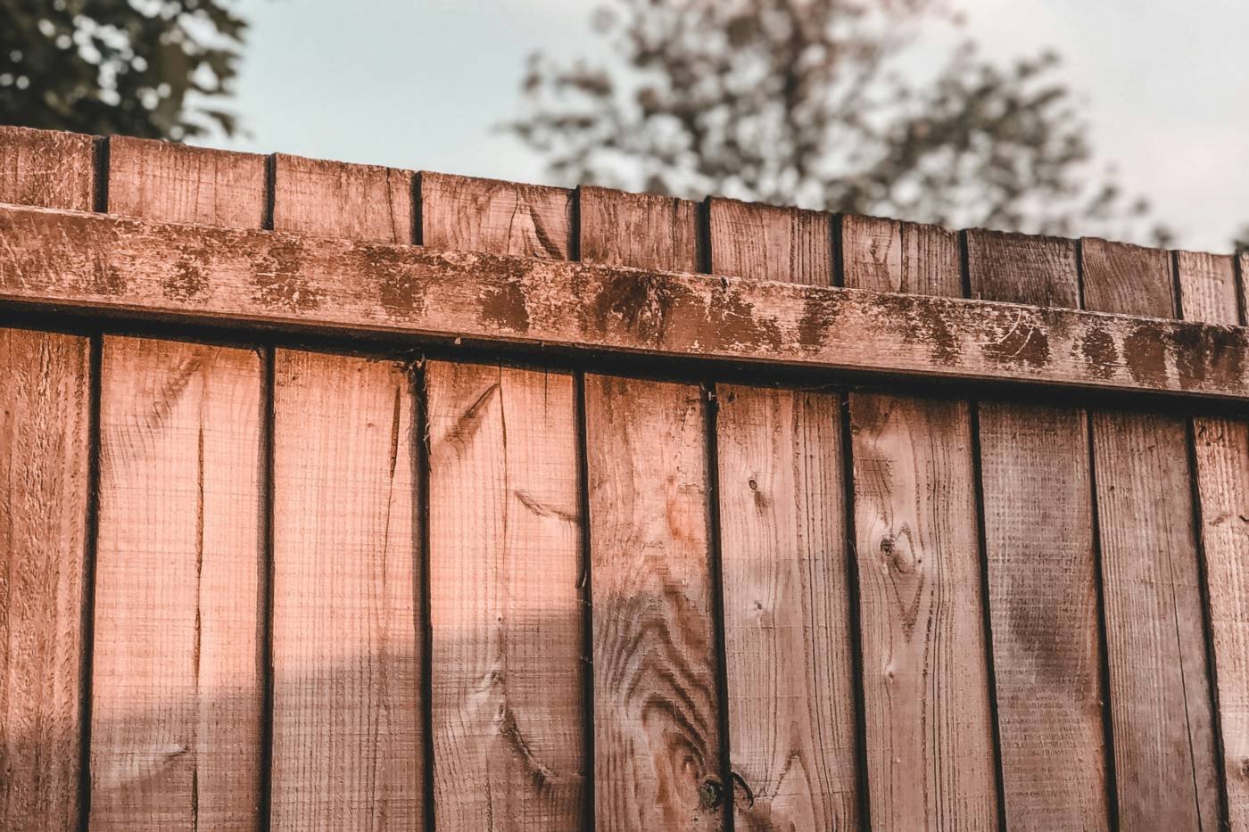 A weathered timber boundary fence
