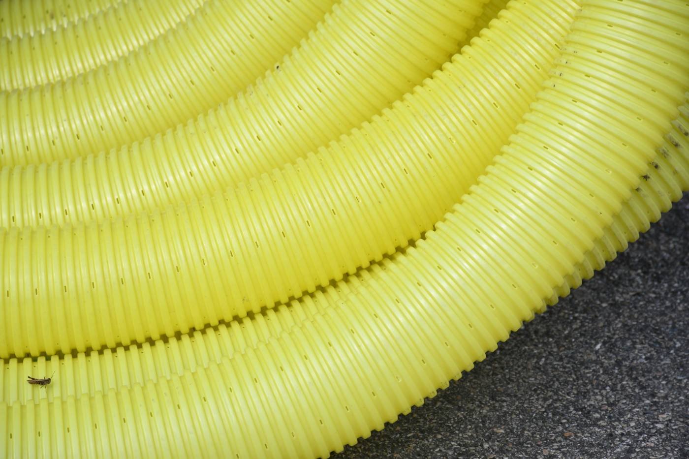 Coils of perforated drainage pipe
