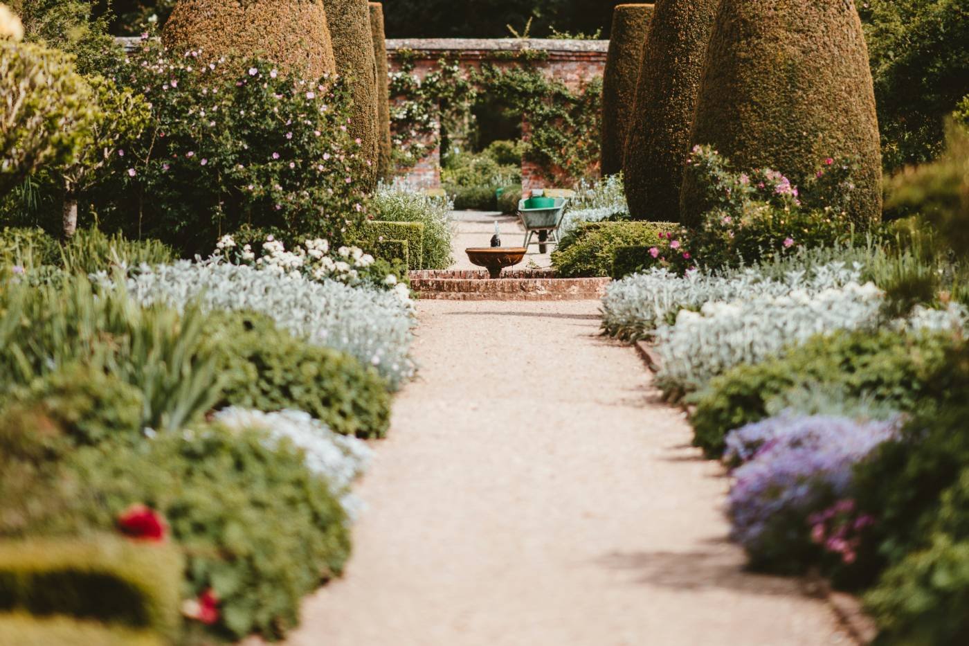 A gravel path between planted borders