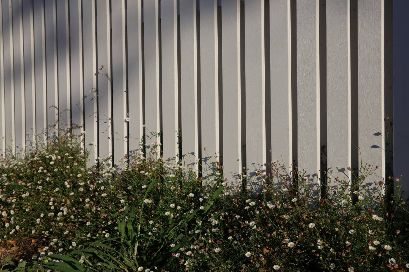 A slatted screen behind a flowering border